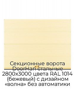 Секционные ворота DoorHan стальные 2800х3000 цвета RAL 1014 (бежевый) с дизайном «волна» без автоматики preview 1