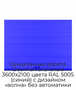 Секционные ворота DoorHan стальные 3600х2100 цвета RAL 5005 (синий) с дизайном «волна» без автоматики preview 1