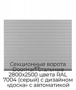 Секционные ворота DoorHan стальные 2800х2500 цвета RAL 7004 (серый) с дизайном «доска» с автоматикой preview 1