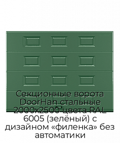 Секционные ворота DoorHan стальные 2000х2500 цвета RAL 6005 (зелёный) с дизайном «филенка» без автоматики
