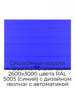 Секционные ворота DoorHan стальные 2600х3000 цвета RAL 5005 (синий) с дизайном «волна» с автоматикой preview 1
