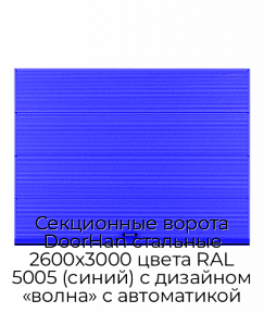 Секционные ворота DoorHan стальные 2600х3000 цвета RAL 5005 (синий) с дизайном «волна» с автоматикой