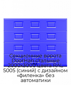 Секционные ворота DoorHan стальные 2000х3000 цвета RAL 5005 (синий) с дизайном «филенка» без автоматики