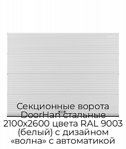 Секционные ворота DoorHan стальные 2100х2600 цвета RAL 9003 (белый) с дизайном «волна» с автоматикой preview 1