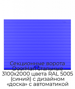 Секционные ворота DoorHan стальные 3100х2000 цвета RAL 5005 (синий) с дизайном «доска» с автоматикой