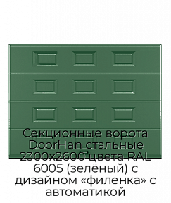 Секционные ворота DoorHan стальные 2300х2600 цвета RAL 6005 (зелёный) с дизайном «филенка» с автоматикой