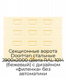 Секционные ворота DoorHan стальные 2900х2000 цвета RAL 1014 (бежевый) с дизайном «филенка» без автоматики preview 1