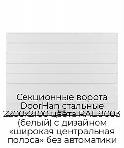 Секционные ворота DoorHan стальные 2200х2100 цвета RAL 9003 (белый) с дизайном «широкая центральная полоса» без автоматики preview 1