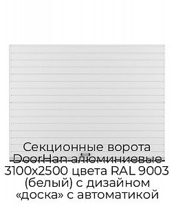 Секционные ворота DoorHan алюминиевые 3100х2500 цвета RAL 9003 (белый) с дизайном «доска» с автоматикой preview 1