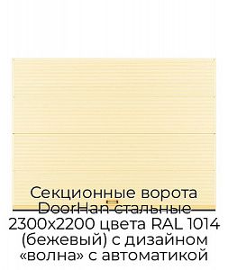 Секционные ворота DoorHan стальные 2300х2200 цвета RAL 1014 (бежевый) с дизайном «волна» с автоматикой preview 1