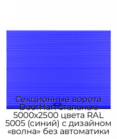 Секционные ворота DoorHan стальные 5000х2500 цвета RAL 5005 (синий) с дизайном «волна» без автоматики