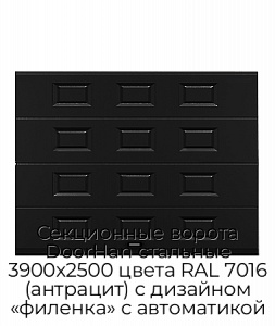 Секционные ворота DoorHan стальные 3900х2500 цвета RAL 7016 (антрацит) с дизайном «филенка» с автоматикой preview 1