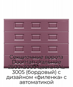Секционные ворота DoorHan стальные 2500х3000 цвета RAL 3005 (бордовый) с дизайном «филенка» с автоматикой preview 1