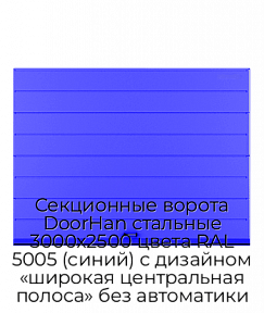Секционные ворота DoorHan стальные 3000х2500 цвета RAL 5005 (синий) с дизайном «широкая центральная полоса» без автоматики