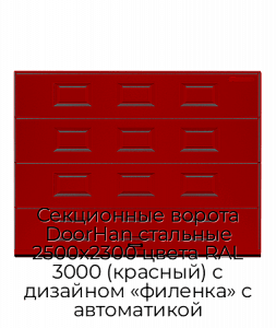 Секционные ворота DoorHan стальные 2500х2300 цвета RAL 3000 (красный) с дизайном «филенка» с автоматикой preview 1