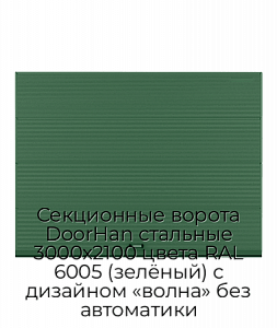 Секционные ворота DoorHan стальные 3000х2100 цвета RAL 6005 (зелёный) с дизайном «волна» без автоматики preview 1
