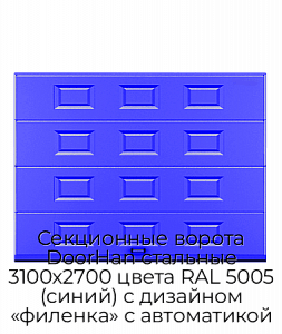 Секционные ворота DoorHan стальные 3100х2700 цвета RAL 5005 (синий) с дизайном «филенка» с автоматикой preview 1