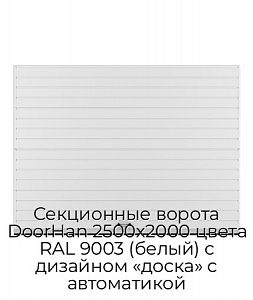 Секционные ворота DoorHan 2500х2000 цвета RAL 9003 (белый) с дизайном «доска» с автоматикой preview 1
