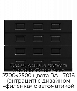 Секционные ворота DoorHan стальные 2700х2500 цвета RAL 7016 (антрацит) с дизайном «филенка» с автоматикой preview 1