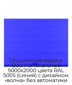 Секционные ворота DoorHan стальные 5000х2000 цвета RAL 5005 (синий) с дизайном «волна» без автоматики