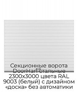 Секционные ворота DoorHan стальные 2300х3000 цвета RAL 9003 (белый) с дизайном «доска» без автоматики preview 1