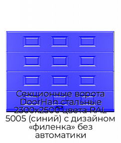 Секционные ворота DoorHan стальные 2300х2500 цвета RAL 5005 (синий) с дизайном «филенка» без автоматики