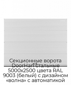 Секционные ворота DoorHan стальные 5000х2500 цвета RAL 9003 (белый) с дизайном «волна» с автоматикой