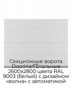 Секционные ворота DoorHan стальные 2600х2800 цвета RAL 9003 (белый) с дизайном «волна» с автоматикой preview 1