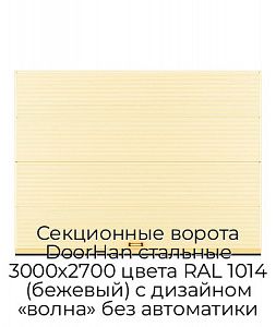 Секционные ворота DoorHan стальные 3000х2700 цвета RAL 1014 (бежевый) с дизайном «волна» без автоматики preview 1