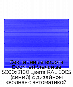 Секционные ворота DoorHan стальные 5000х2100 цвета RAL 5005 (синий) с дизайном «волна» с автоматикой preview 1