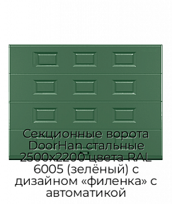 Секционные ворота DoorHan стальные 2500х2200 цвета RAL 6005 (зелёный) с дизайном «филенка» с автоматикой