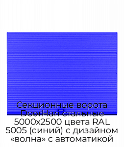 Секционные ворота DoorHan стальные 5000х2500 цвета RAL 5005 (синий) с дизайном «волна» с автоматикой preview 1