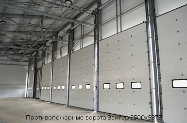 Противопожарные ворота Зайгер 2500х5875