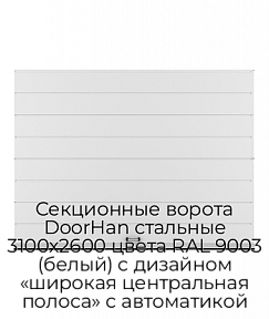 Секционные ворота DoorHan стальные 3100х2600 цвета RAL 9003 (белый) с дизайном «широкая центральная полоса» с автоматикой