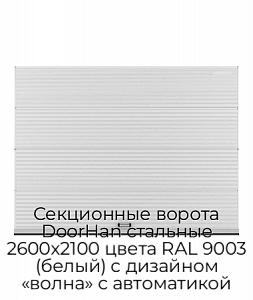 Секционные ворота DoorHan стальные 2600х2100 цвета RAL 9003 (белый) с дизайном «волна» с автоматикой preview 1