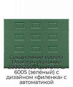 Секционные ворота DoorHan стальные 2000х2600 цвета RAL 6005 (зелёный) с дизайном «филенка» с автоматикой