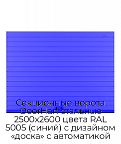 Секционные ворота DoorHan стальные 2500х2600 цвета RAL 5005 (синий) с дизайном «доска» с автоматикой