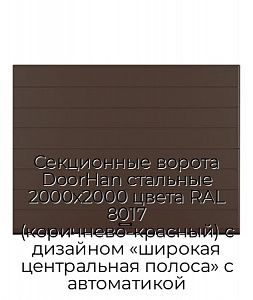 Секционные ворота DoorHan стальные 2000х2000 цвета RAL 8017 (коричнево-красный) с дизайном «широкая центральная полоса» с автоматикой preview 1