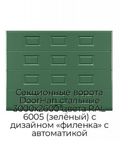 Секционные ворота DoorHan стальные 3000х2600 цвета RAL 6005 (зелёный) с дизайном «филенка» с автоматикой