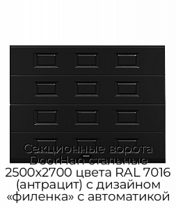 Секционные ворота DoorHan стальные 2500х2700 цвета RAL 7016 (антрацит) с дизайном «филенка» с автоматикой preview 1