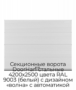 Секционные ворота DoorHan стальные 4200х2500 цвета RAL 9003 (белый) с дизайном «волна» с автоматикой preview 1